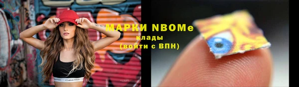 индика Алексеевка