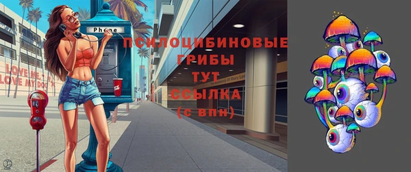 стафф Алзамай