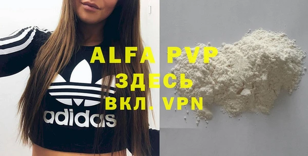 стафф Алзамай
