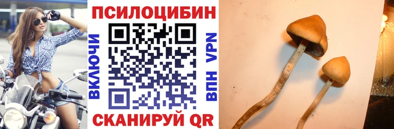 Галлюциногенные грибы ЛСД  Шатура 