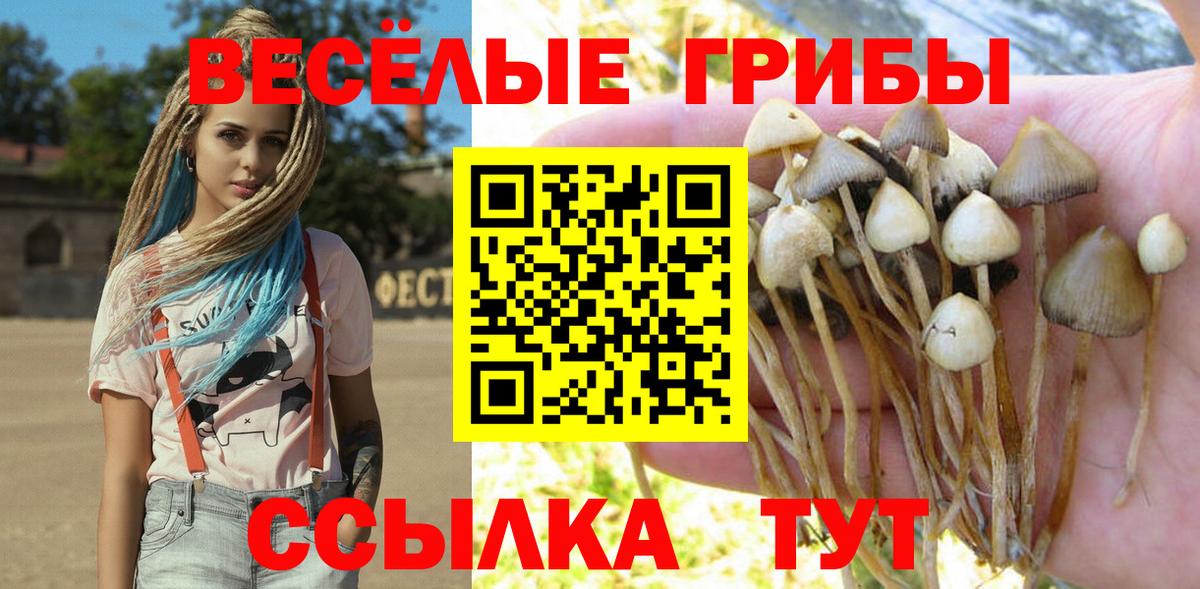 Псилоцибиновые грибы Psilocybine cubensis Шатура
