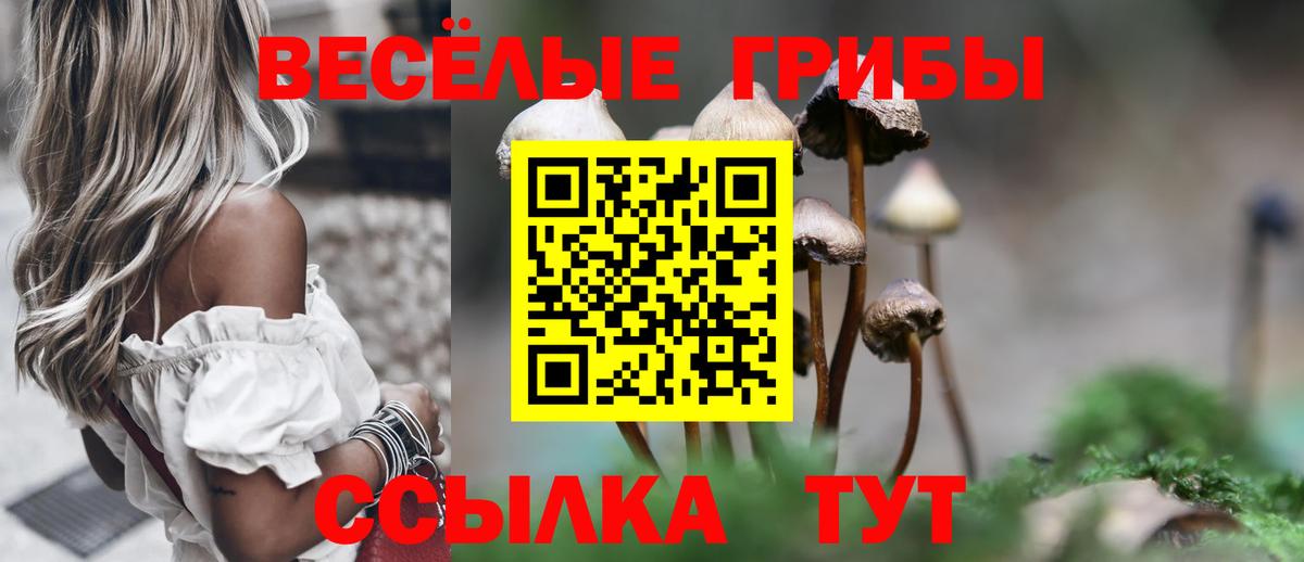 Шатура  Псилоцибиновые грибы Psilocybine cubensis  Галлюциногенные грибы ЛСД  Вход с VPN 